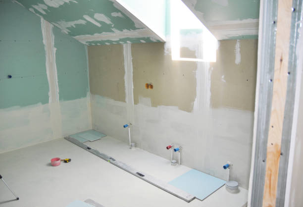 Best Attic Mold Removal  in Bremen, IN