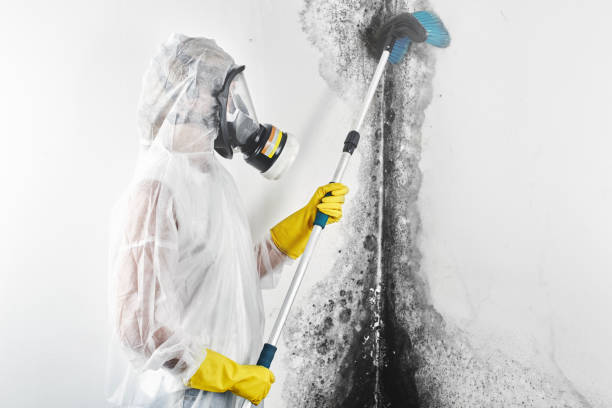 Best Indoor Air Quality Assessment  in Bremen, IN