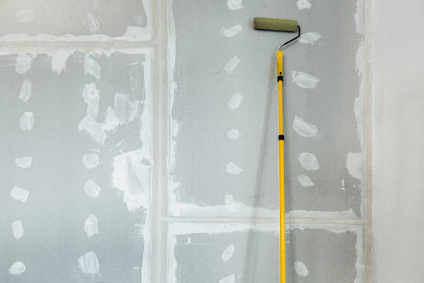 Best Asbestos and Lead Testing During Mold Inspection  in Bremen, IN