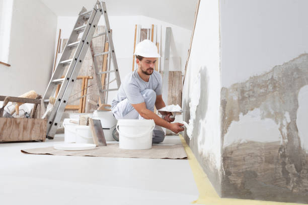 Best Emergency Mold Remediation  in Bremen, IN