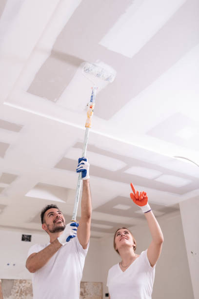 Best Water Damage & Mold Remediation  in Bremen, IN