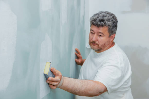 Best Environmental Consulting for Mold Prevention  in Bremen, IN