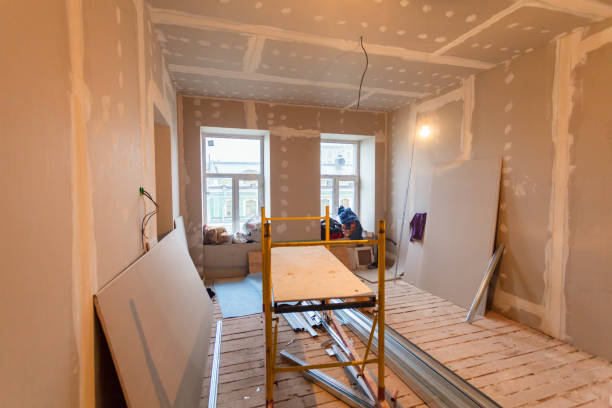 Reliable Bremen, IN Mold Removal Solutions
